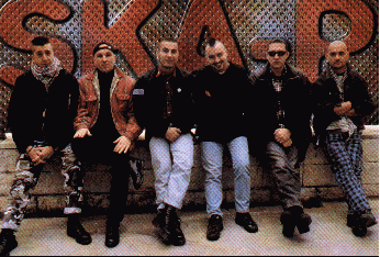 SKA-P